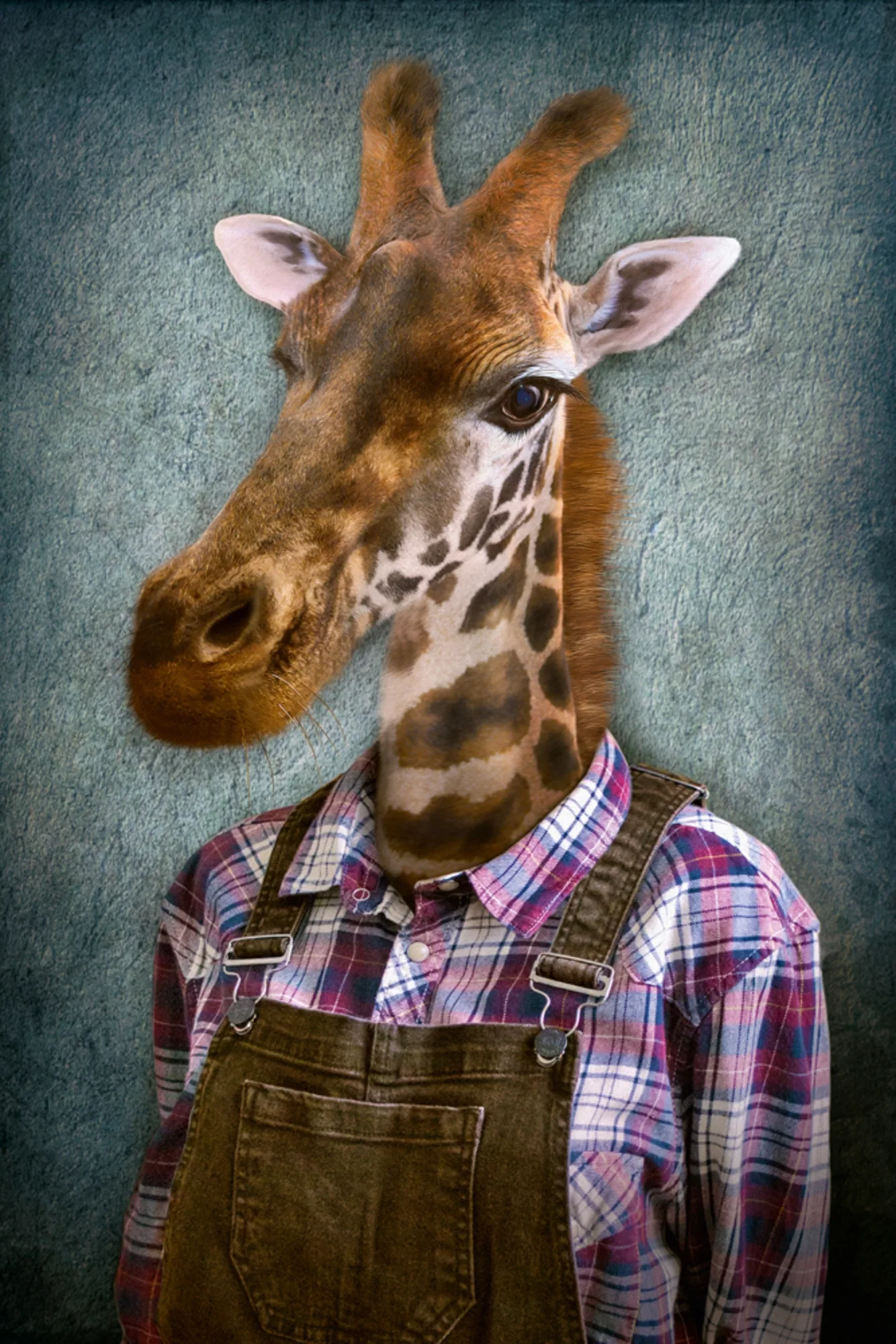 image LAND Alubild Giraffe mit Latzhose | Schubiger Möbel
