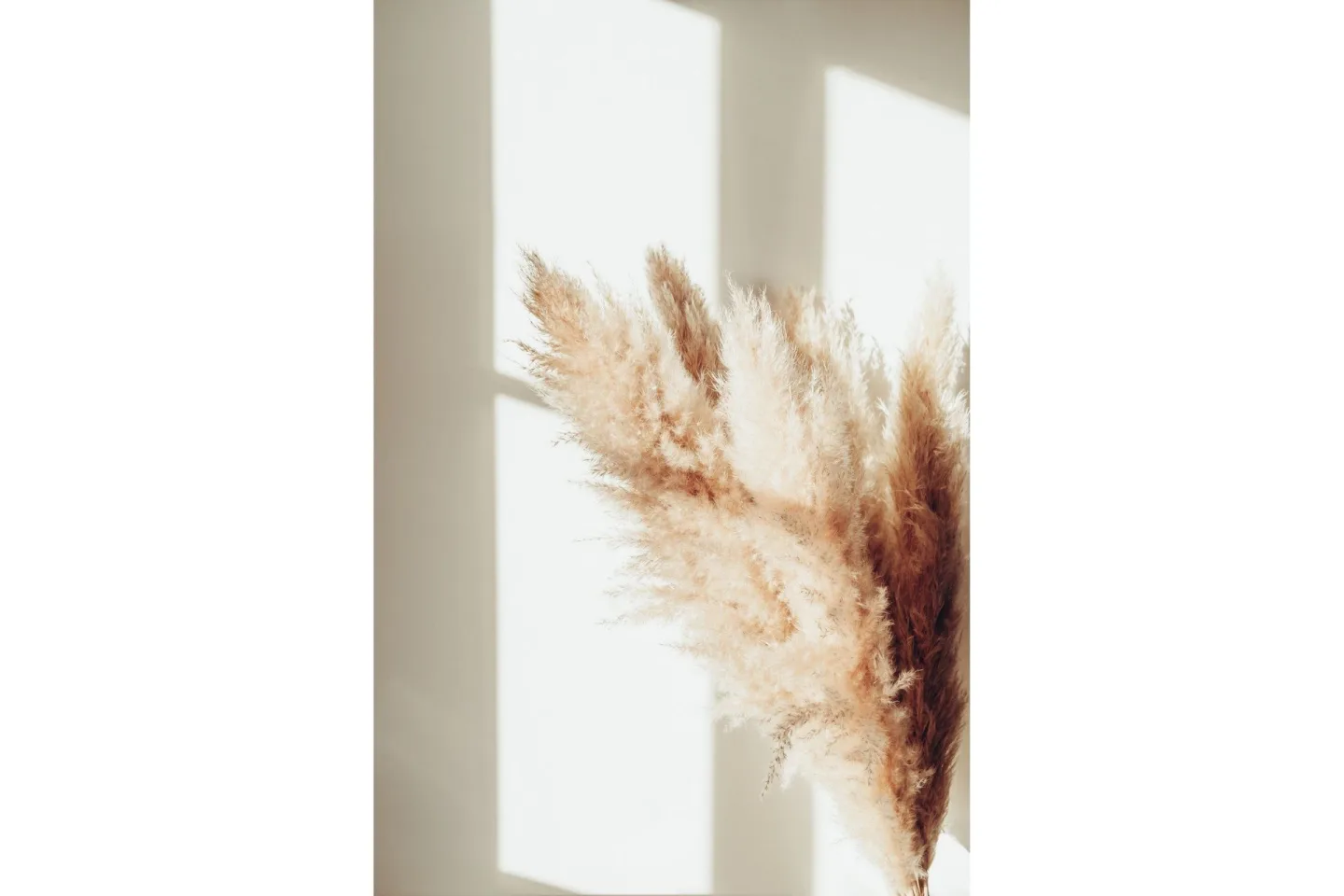 Poster Pampas 70x100 cm - Beige