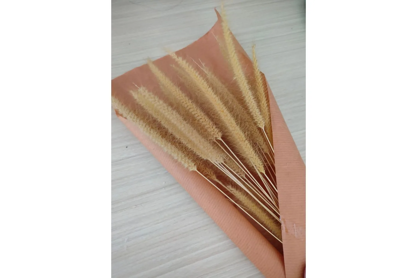Poster Dry flowers 21x30 cm - Rosa/Beige