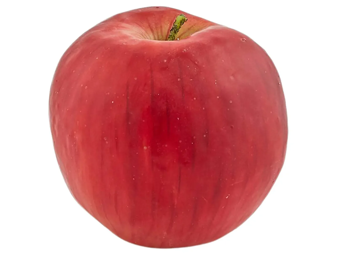 Edg Kunstblumen Zierapfel H: 10 cm Rot | Schubiger Möbel