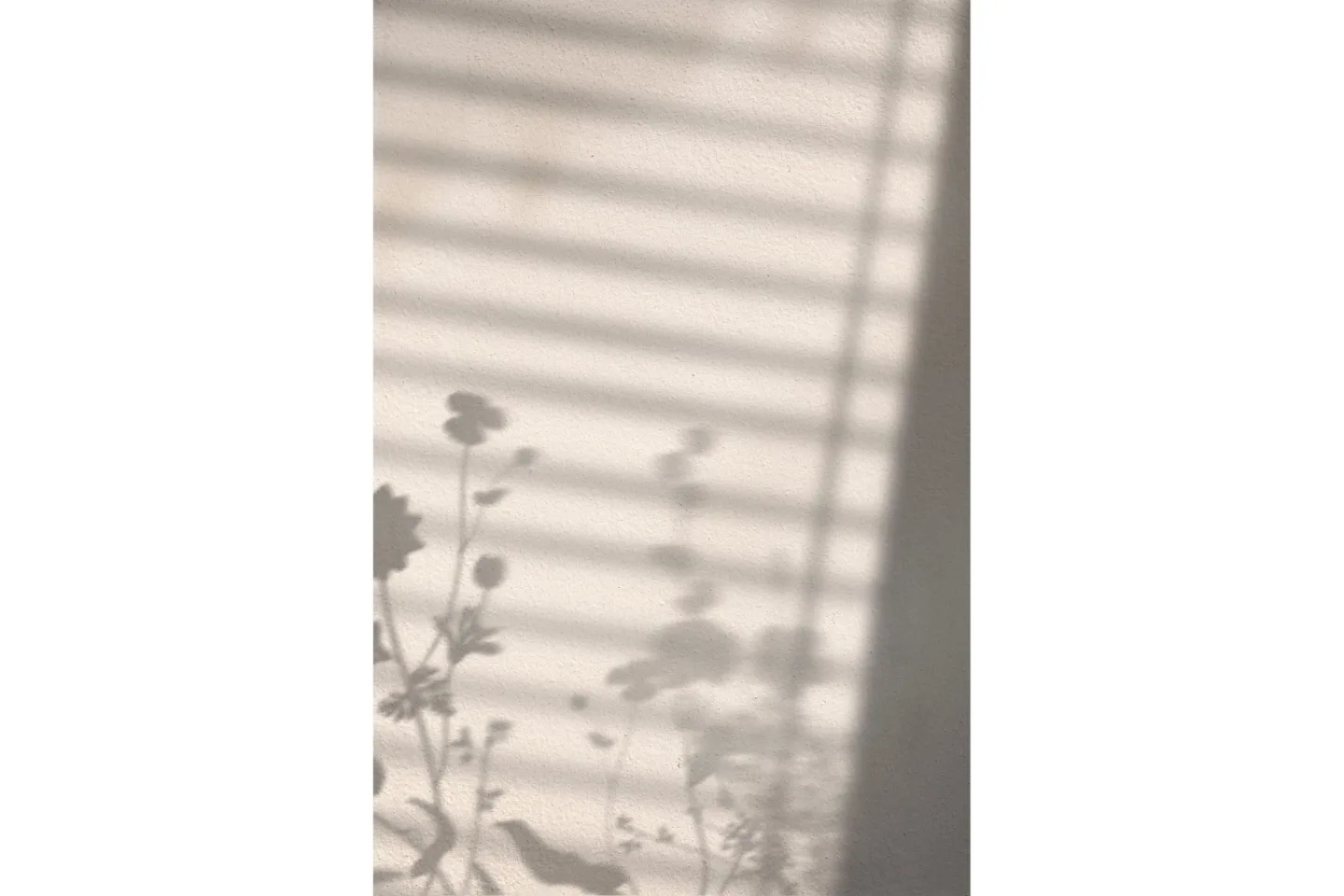 Poster Flower Shadow 50x70 cm - Vit