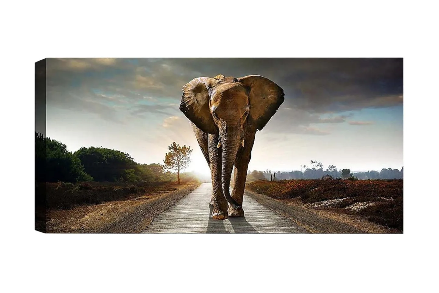 Canvastavla YTY Animals Flerfärgad - 120x50 cm