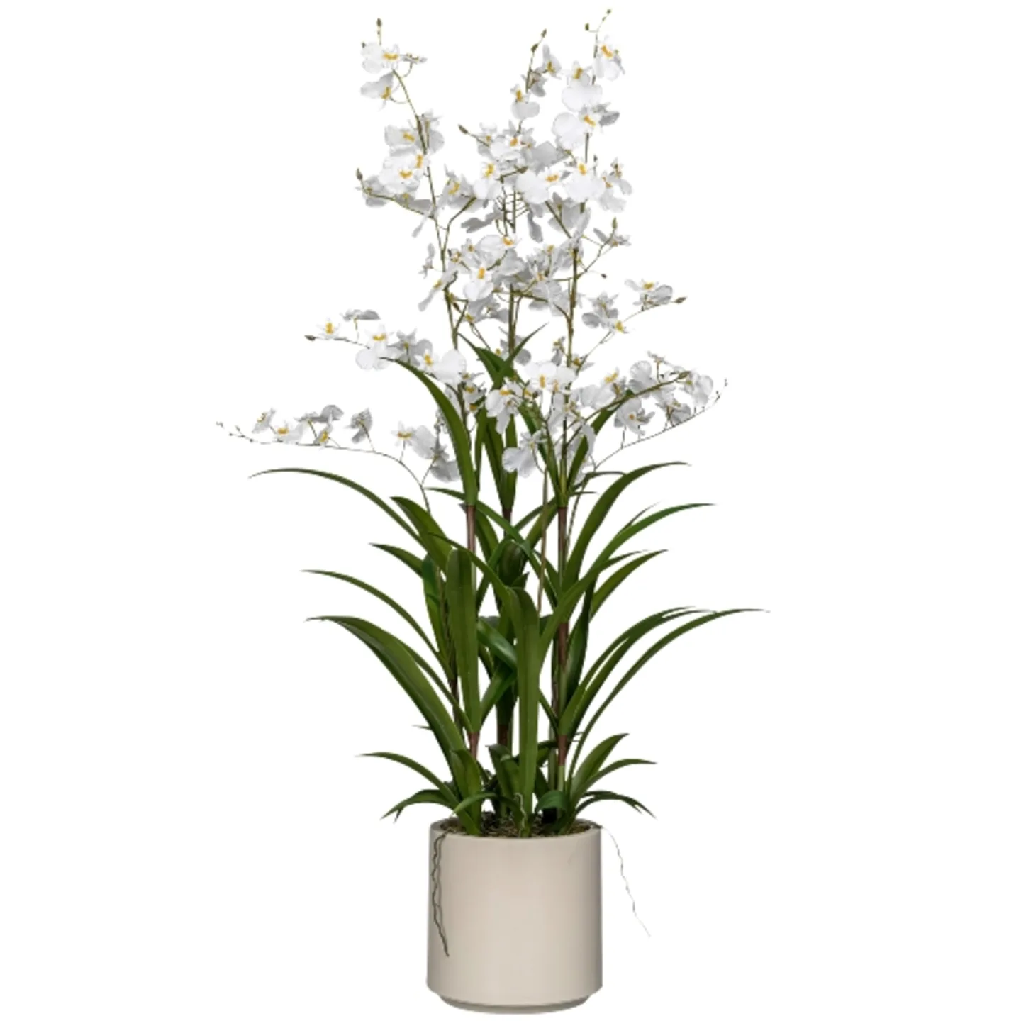 Gasper Kunstpflanze Orchidee im Topf, Weiß H: 98 cm | Schubiger Möbel