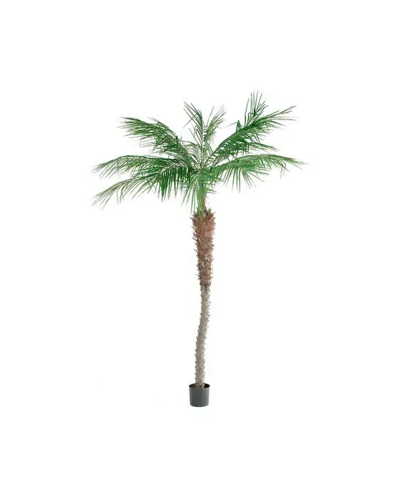 Phoenix palm konstträd grön