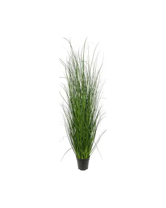 Græs potteplante grøn