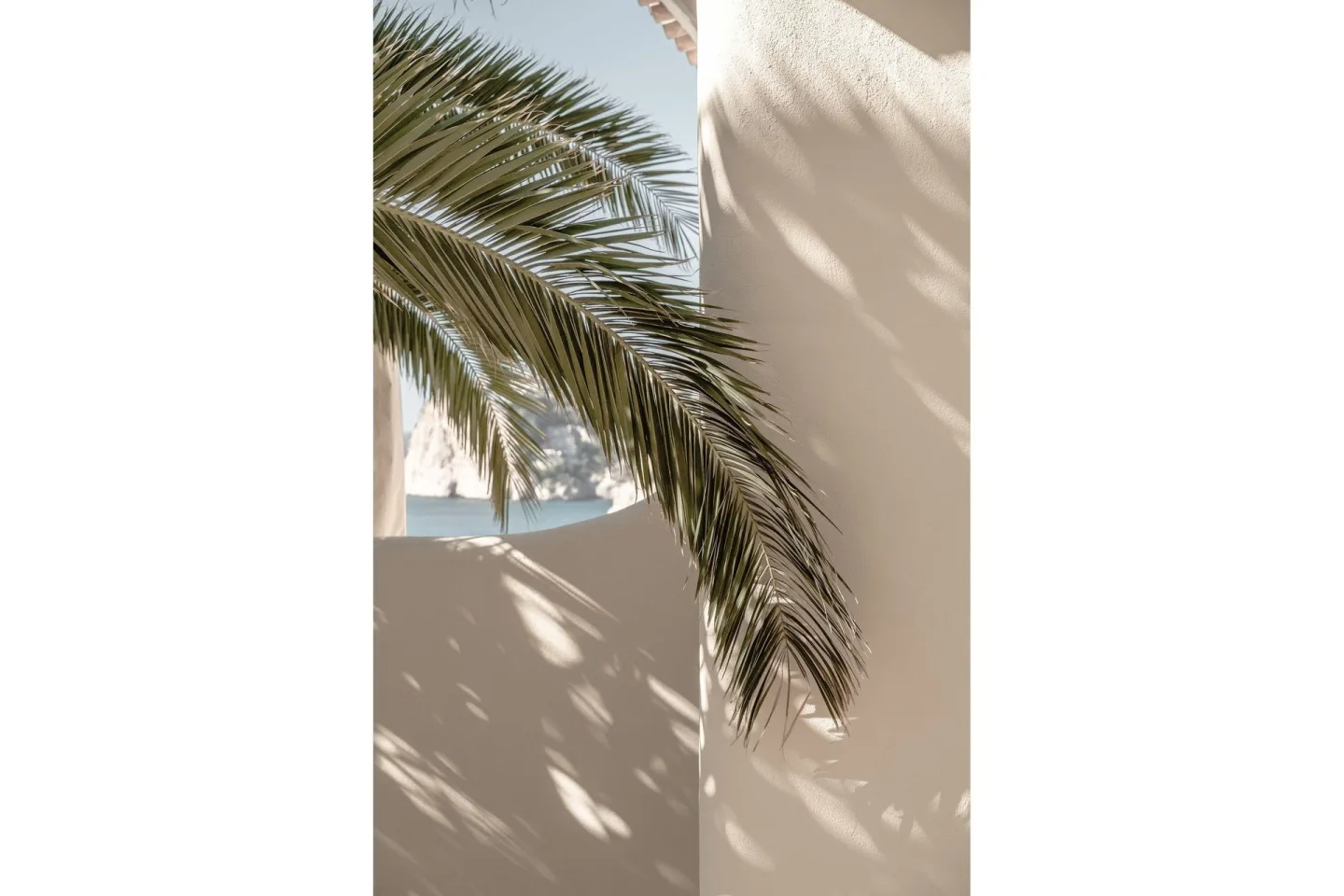 Poster Palmleaf 21x30 cm - Beige