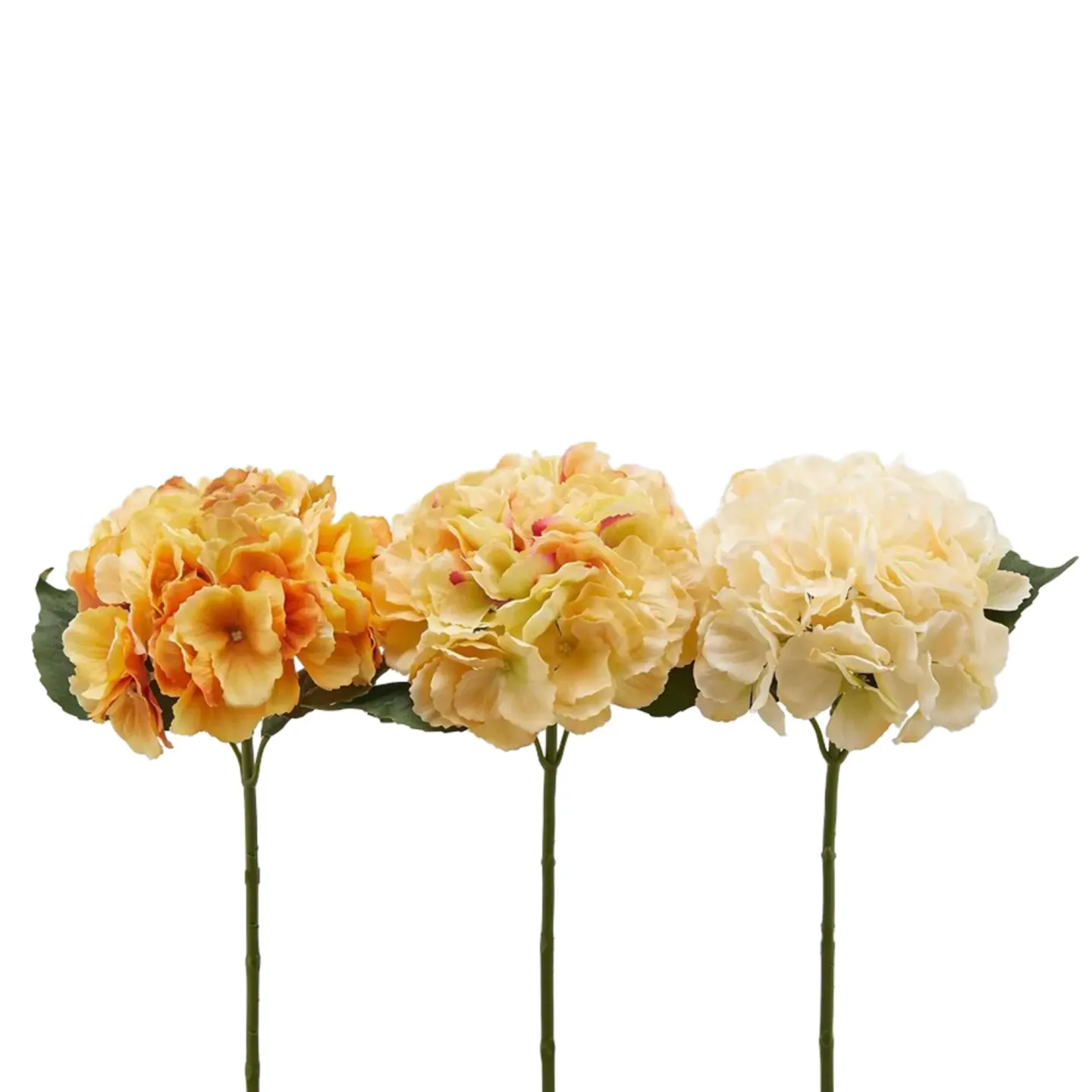 Edg Kunstblume Hortensie Weiss, Hellgelb H: 45 cm | Schubiger Möbel