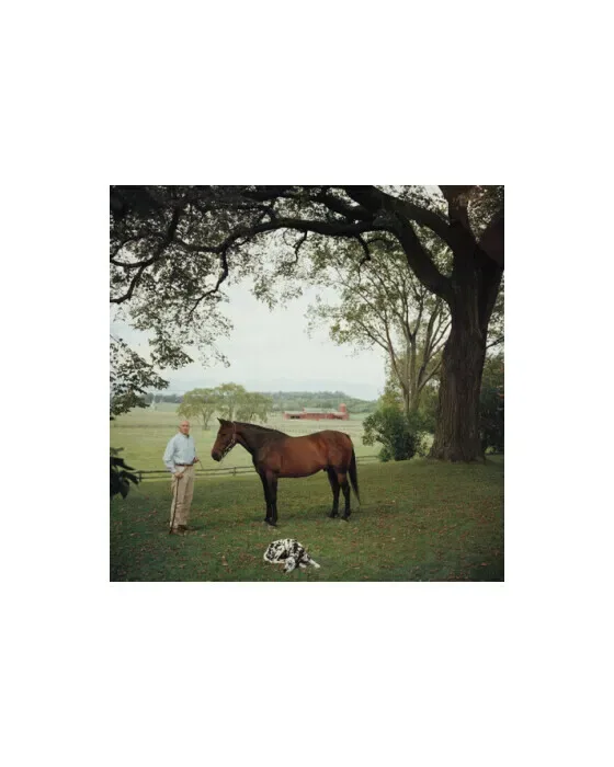 Prize Trotter