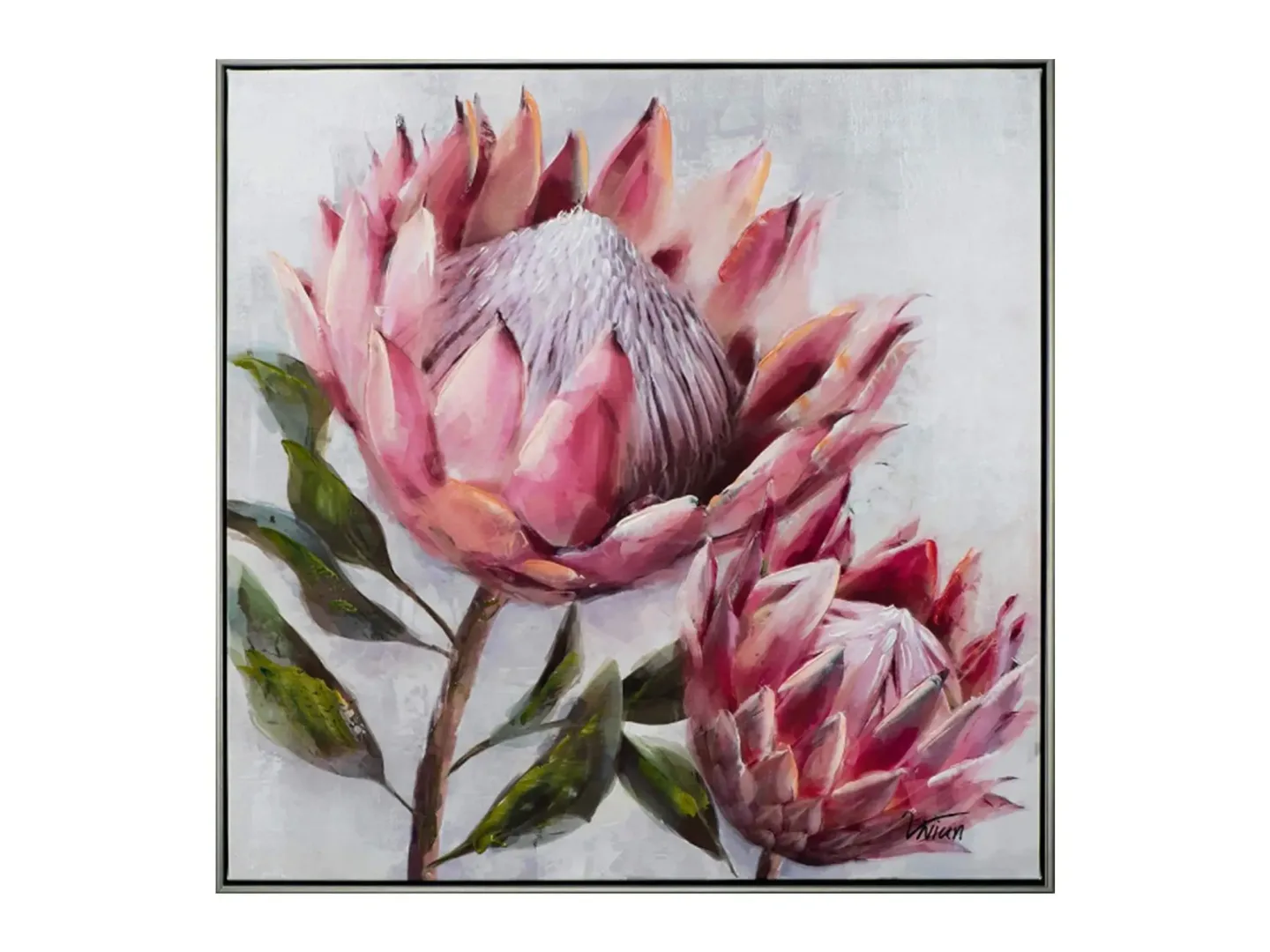image LAND Bild mit Rahmen Hübsche Protea 2 | Schubiger Möbel
