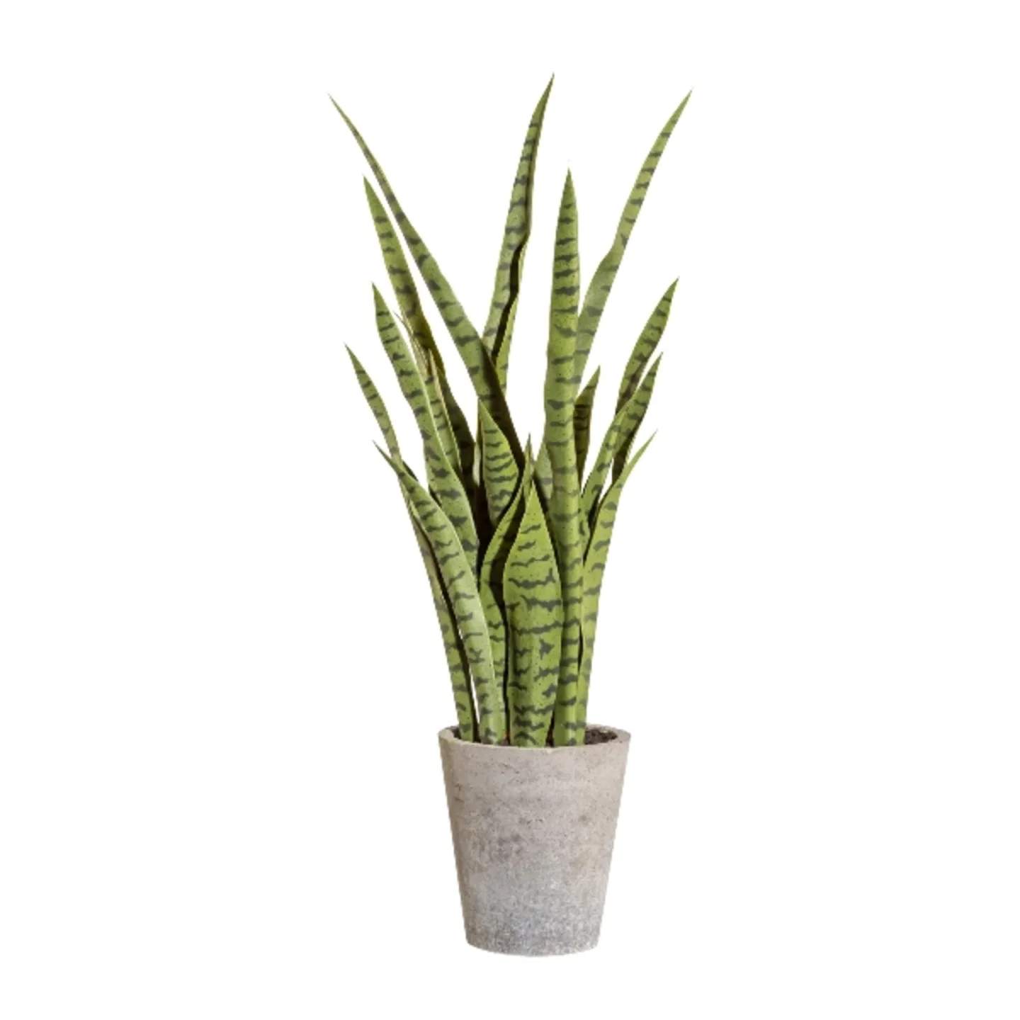 Gasper Kunstpflanze Sanservieria Grün | Schubiger Möbel