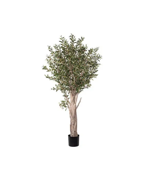 Olive Tree Potted Plant