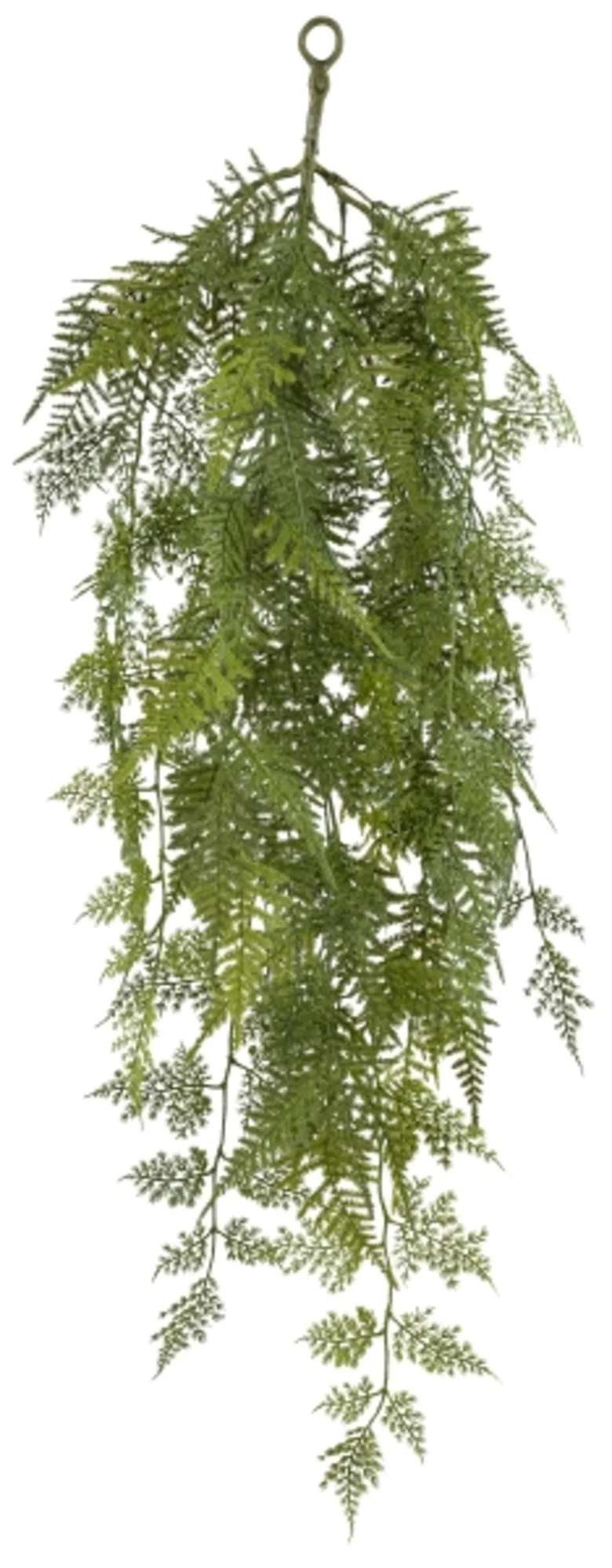 Gasper Kunstpflanze Asparagus Hänger, Grün H: 90 cm | Schubiger Möbel