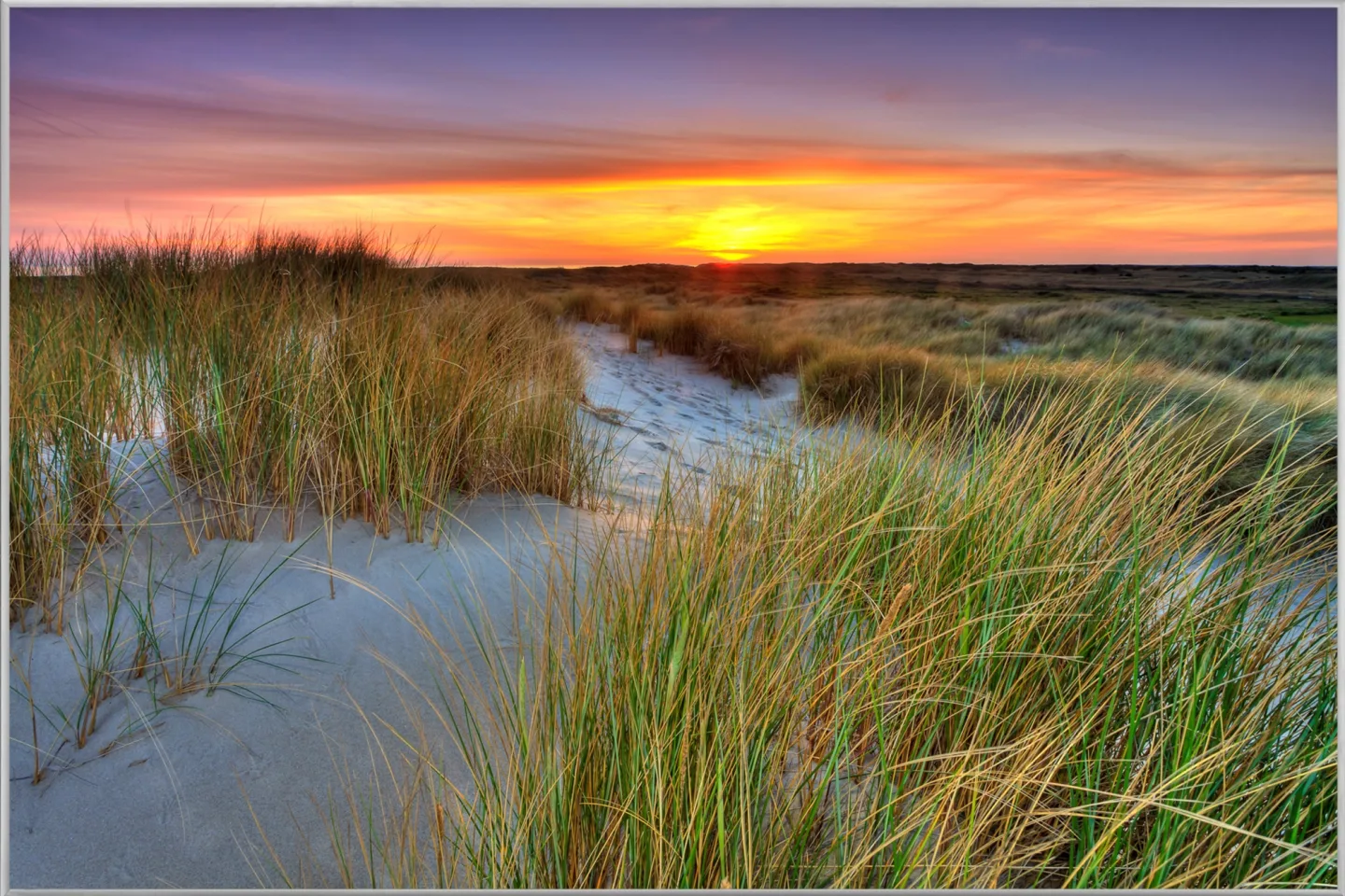 image LAND Bild mit Rahmen Dünenlandschaft mit Sonnenuntergang | Schubiger Möbel