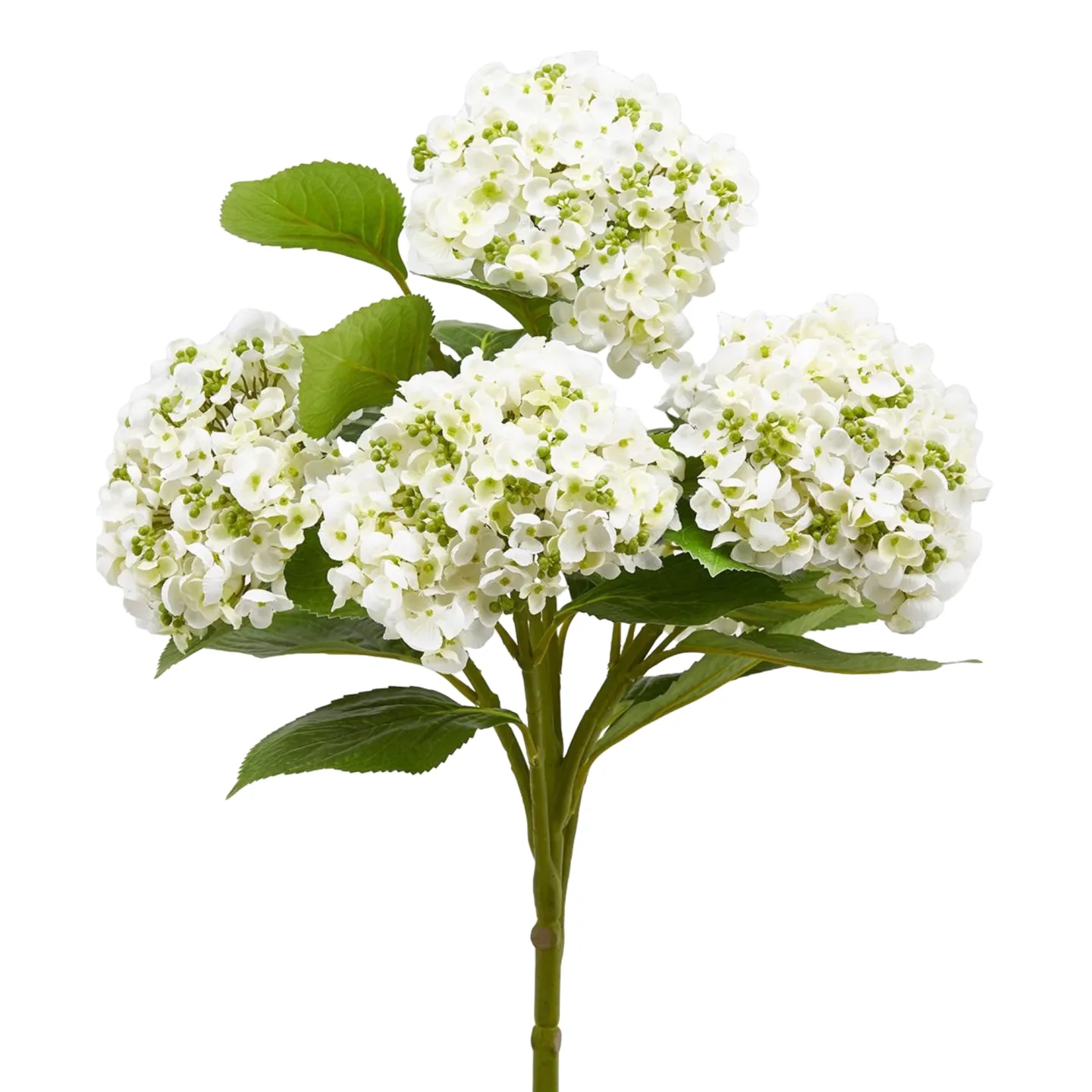 Edg Kunstblumen Hortensie Weiss H: 58 cm | Schubiger Möbel