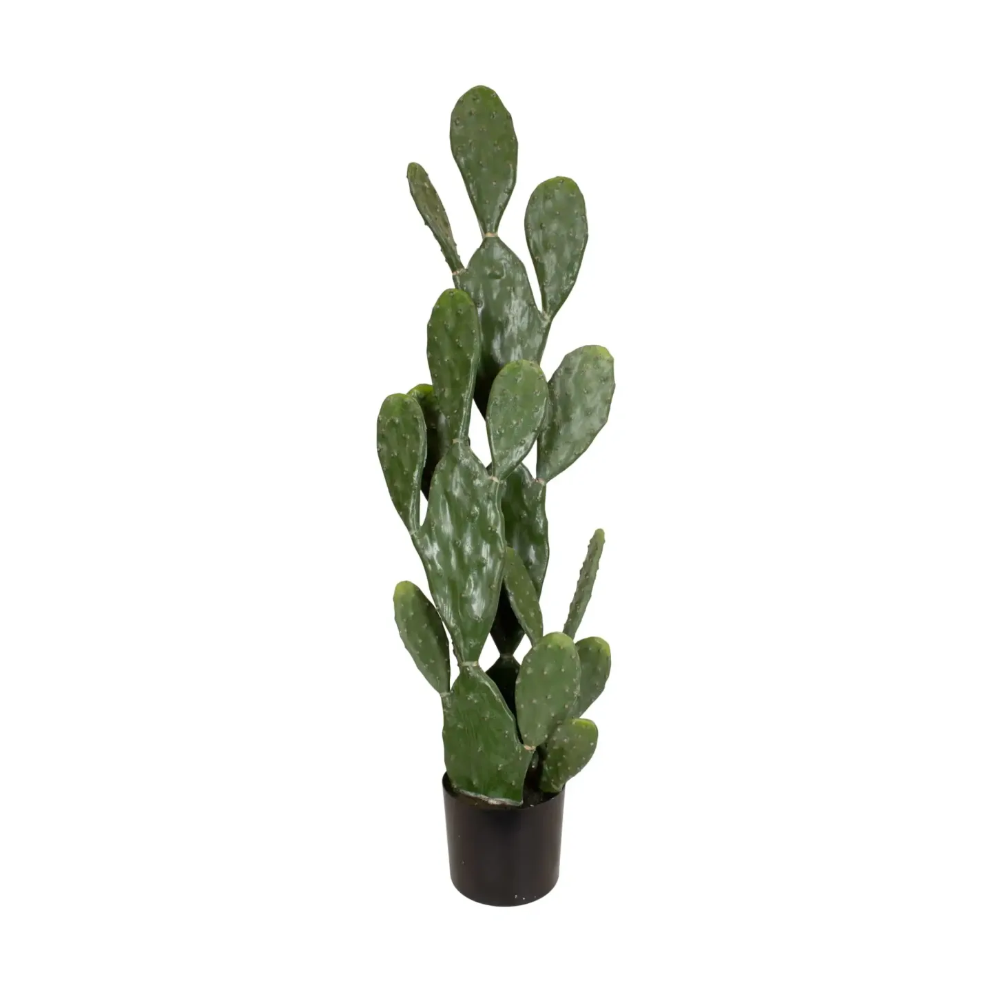 Decofinder Kunstpflanze Kaktus Grün H: 126 cm | Schubiger Möbel