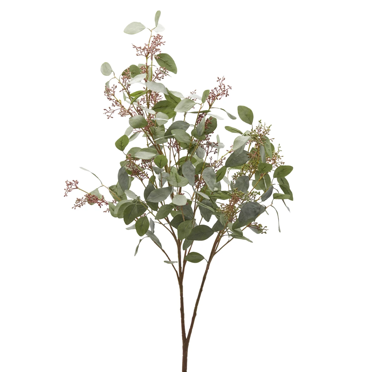 Edg Kunstpflanze Eucalyptusbaum H: 117 cm | Schubiger Möbel