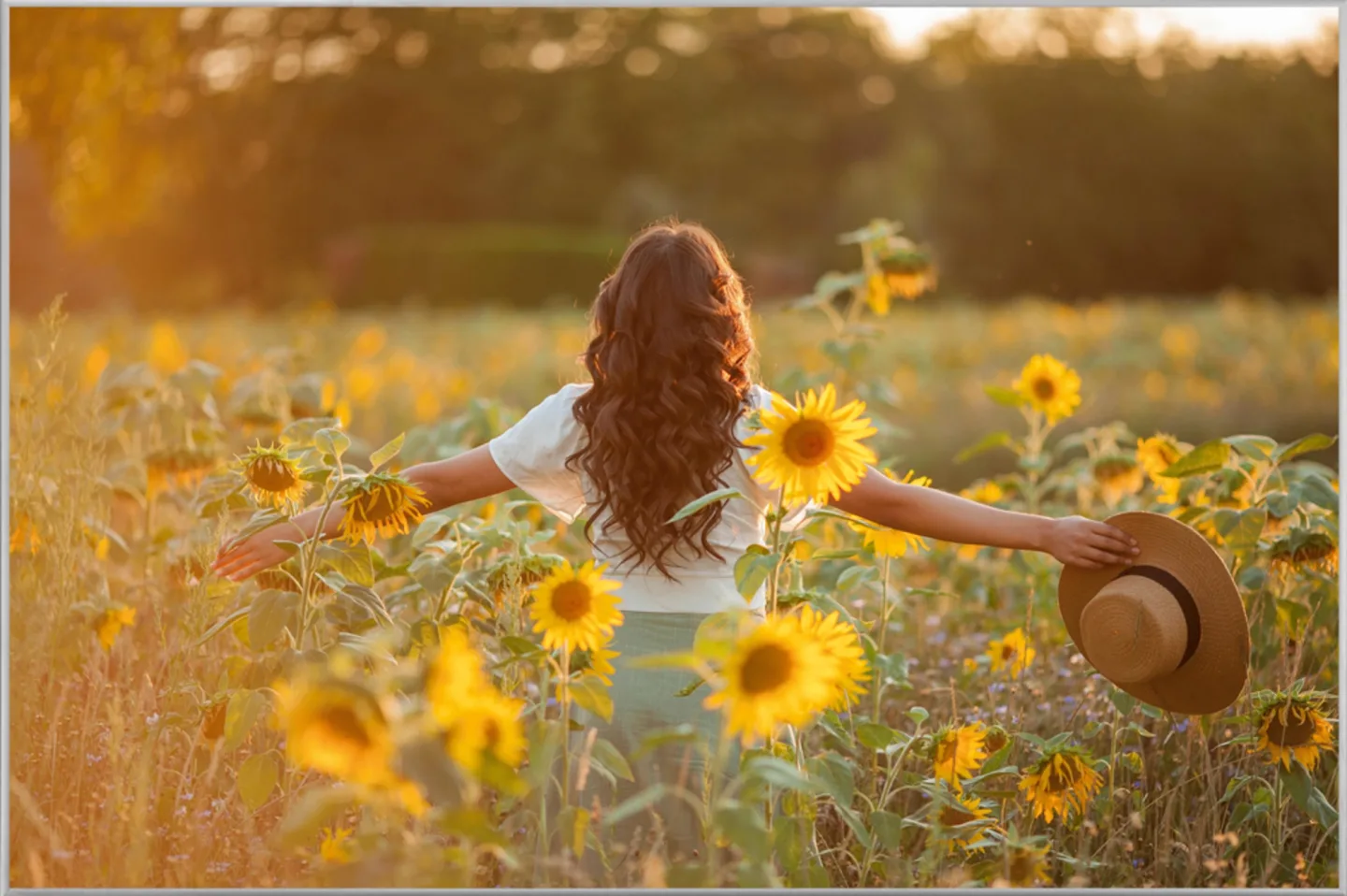 image LAND Bild mit Rahmen Mädchen im Sonnenblumenfeld | Schubiger Möbel