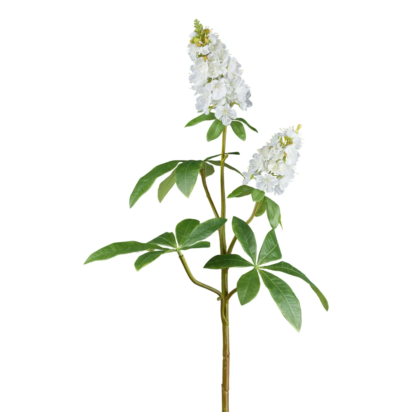 Gasper Kunstblume Kastanie, Weiss | Schubiger Möbel