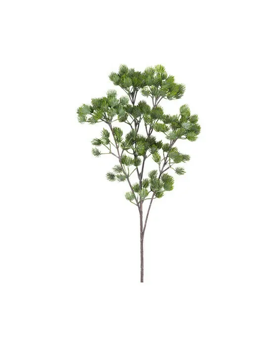 Larch Sprig Green