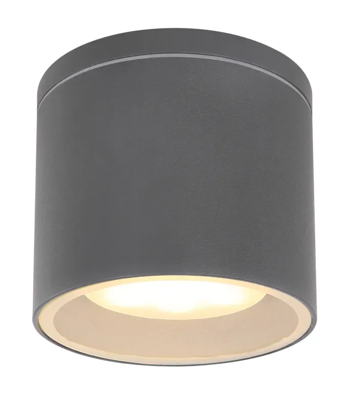 Globo Lighting - Alcala - Takbelysning - Antracit