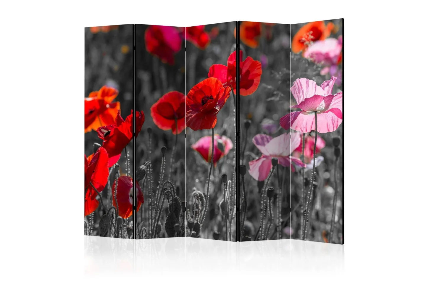 Kadira Rumsavdelare 172x225 cm -