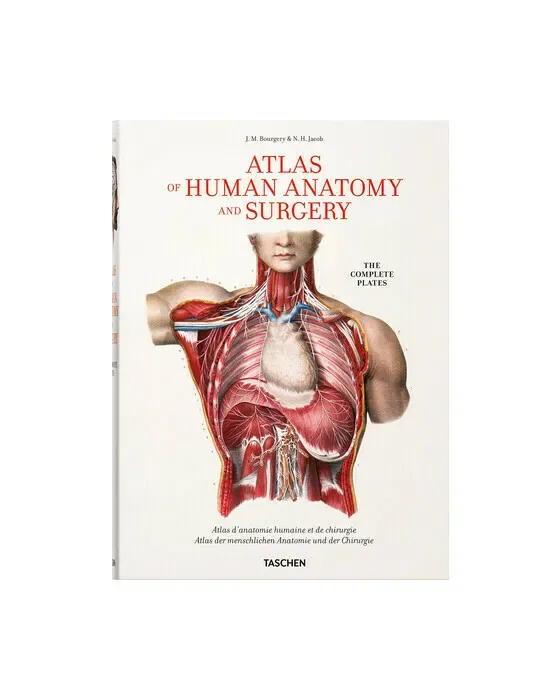 Atlas of Human Anatomi XL
