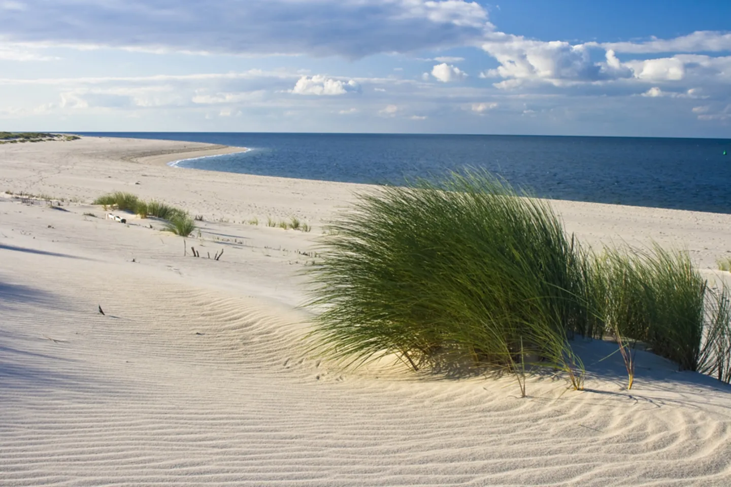 image LAND Alubild Strand mit Dünengras | Schubiger Möbel