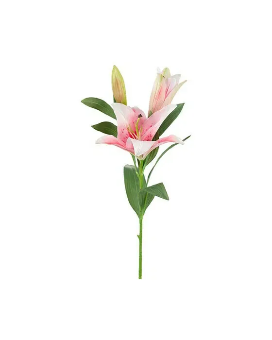 Lilje afskåret blomst lyserød