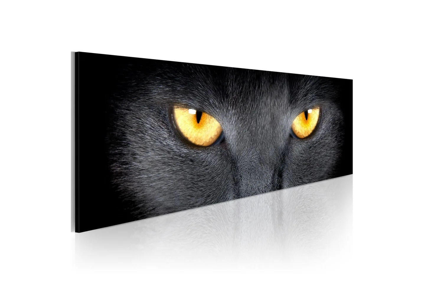 Tavla Look Into My Eyes 135x45 cm -