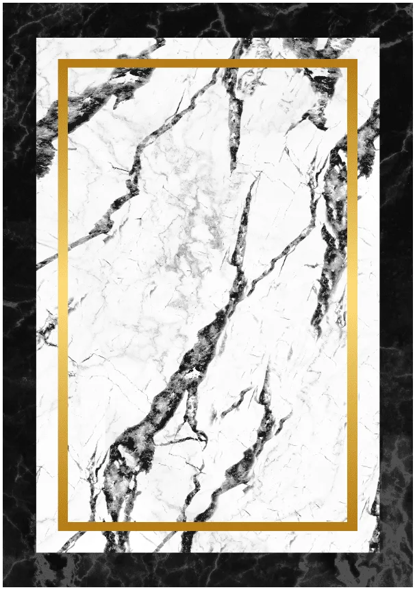 Wilton-teppe - Avola (svart/hvit/gull) (Størrelse: 200 x 280 cm)