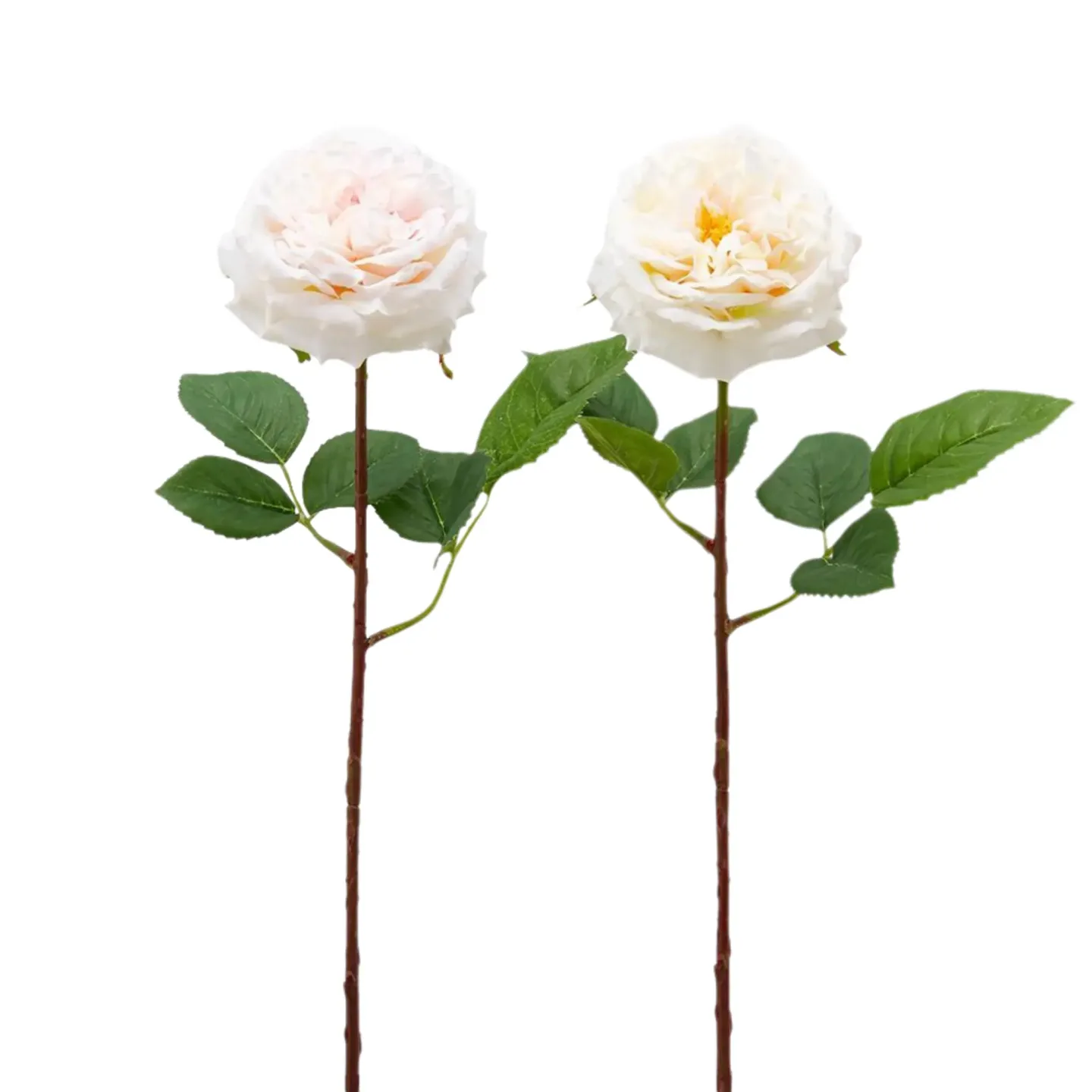 Edg Kunstblume Rose Weiss Gefüllt Weiss | Schubiger Möbel