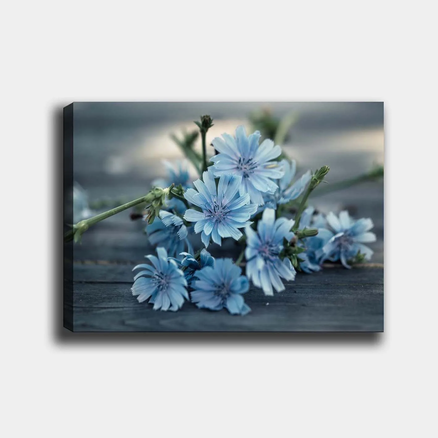 Canvastavla 70x100 cm - Bukett av ljusblå blommor som ligger på en mörk yta - Ljusblå / Grön