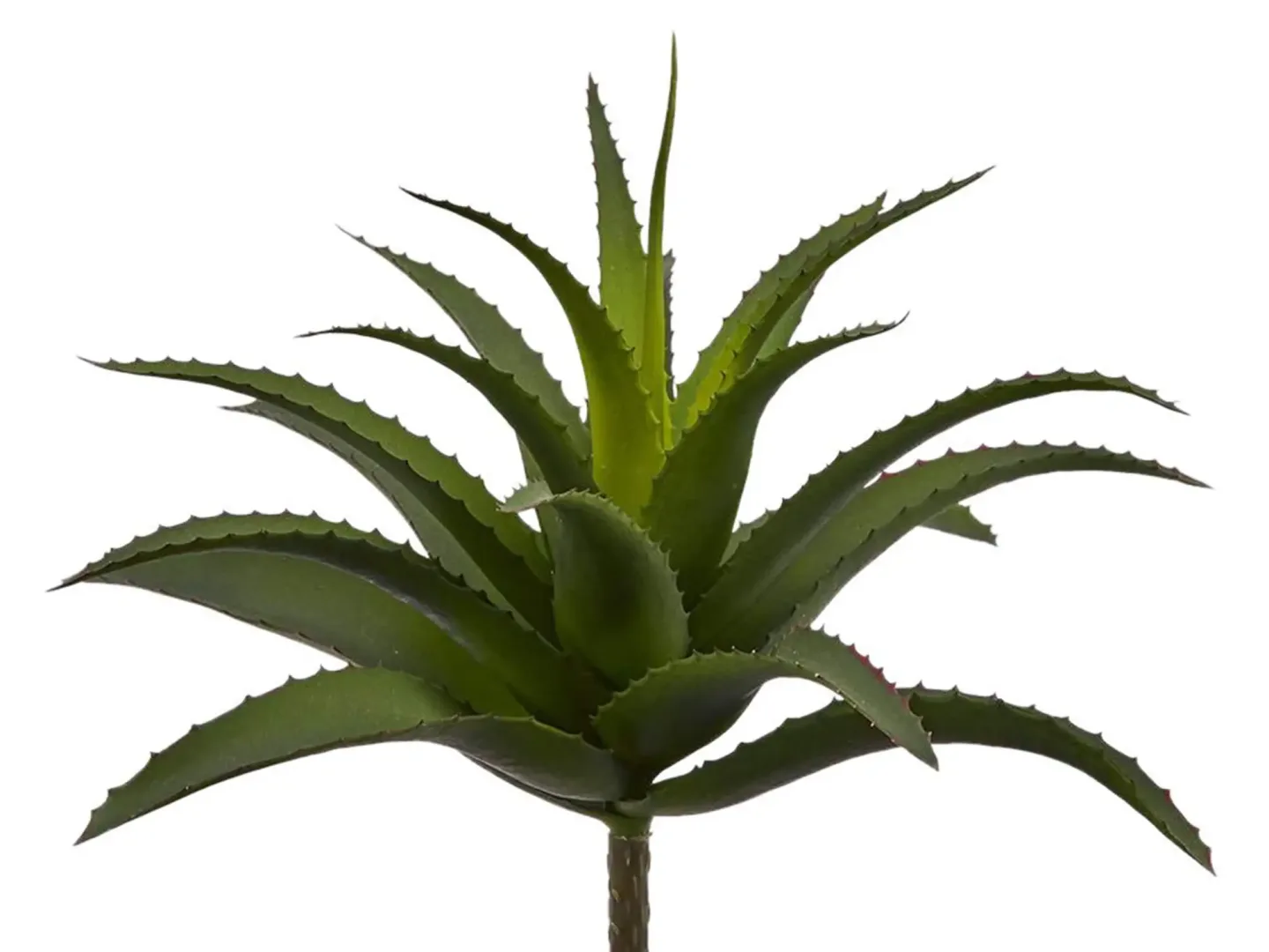 Edg Kunstblume Agave Dunkelgrün H: 25 cm | Schubiger Möbel