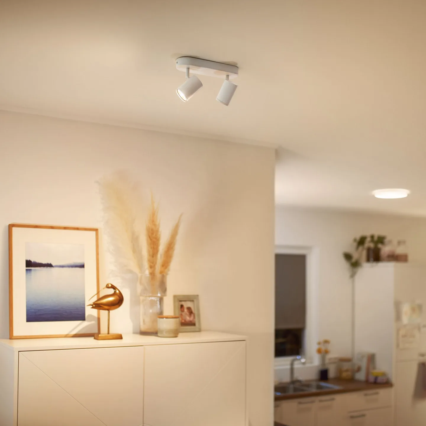 Imageo 2 Deckenleuchte TW White - WiZ - Wohnzimmer - Modern - Aluminium - Mehrflammig