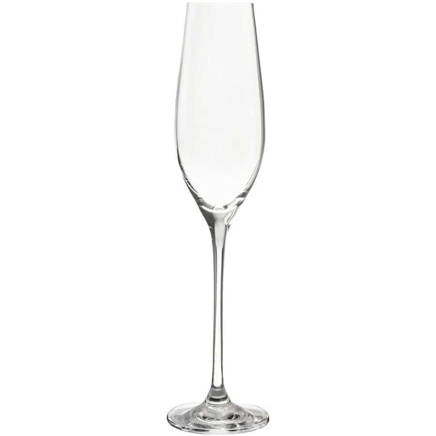 Berndorf Sektgläser-Set Cultus Transparent Glas 26.3 cm 6.6 cm