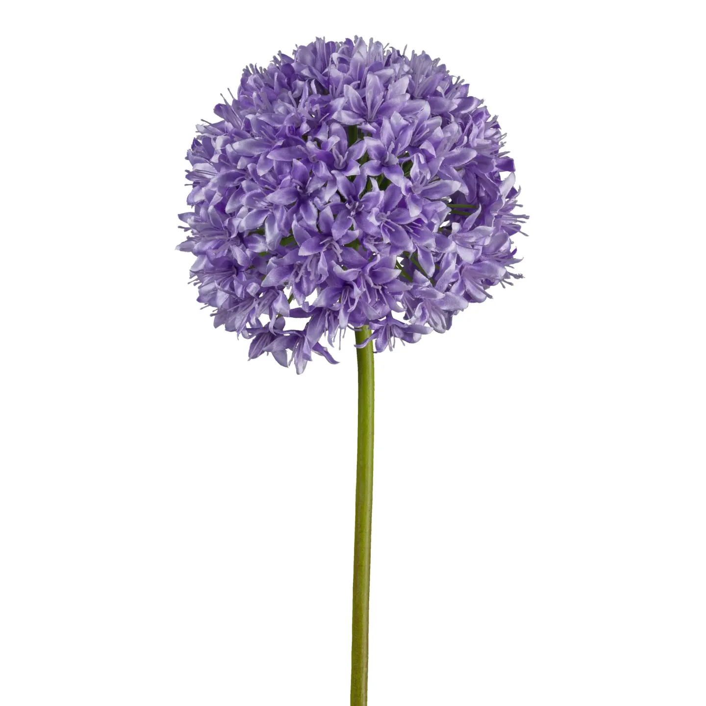 Gasper Kunstblume Allium, Lila | Schubiger Möbel