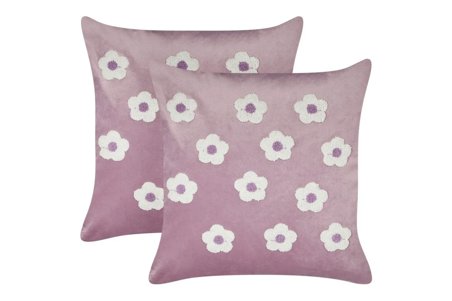 Prydnadskuddar Echinacea set om 2 -