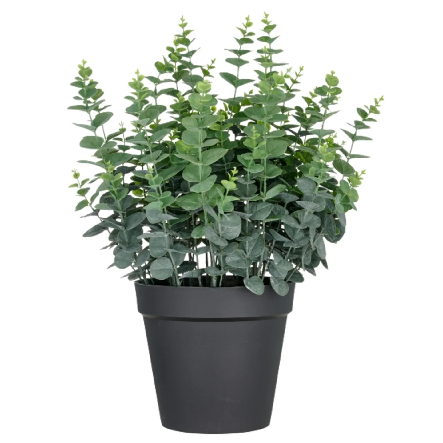Gasper Kunstpflanzen Eukalyptus im Kunststofftopf H: 70 cm | Schubiger Möbel