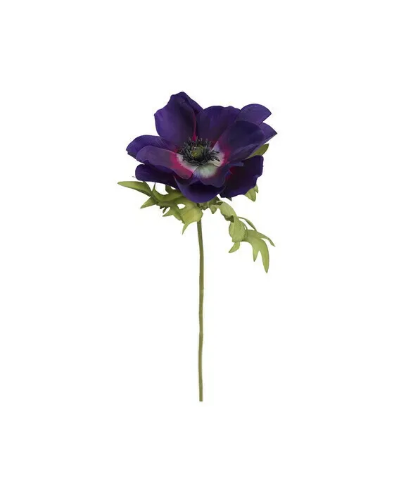 Anemone snitblomst blå