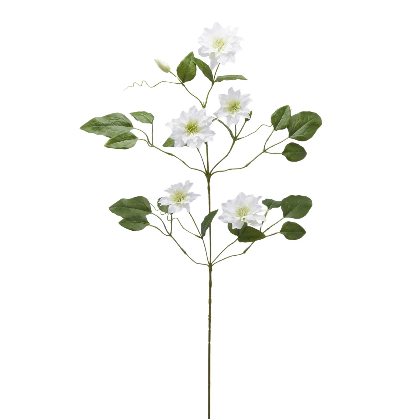 Edg Kunstblume Clematis Weiss H: 105 cm | Schubiger Möbel