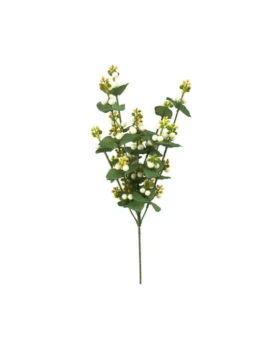Snowberry Cut Flower White