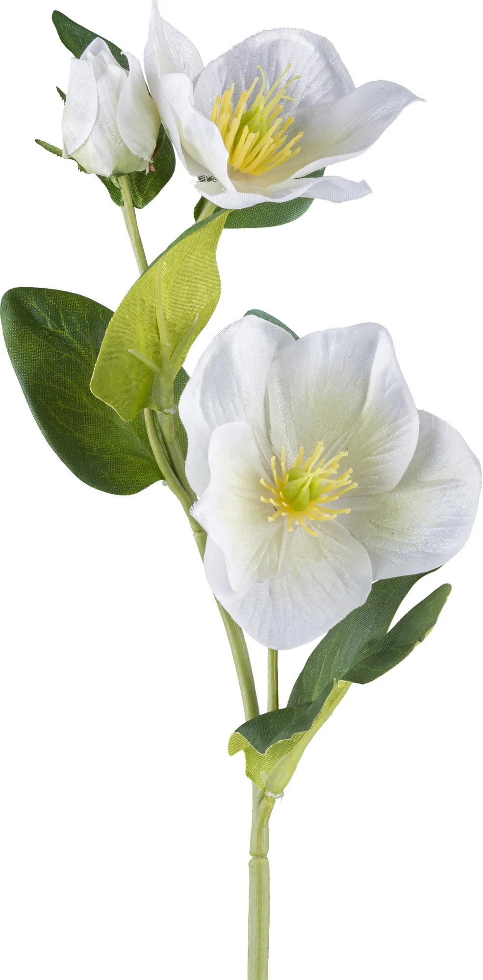 Gasper Kunstblumen Christrose Geeist, Weiss H: 36 cm | Schubiger Möbel