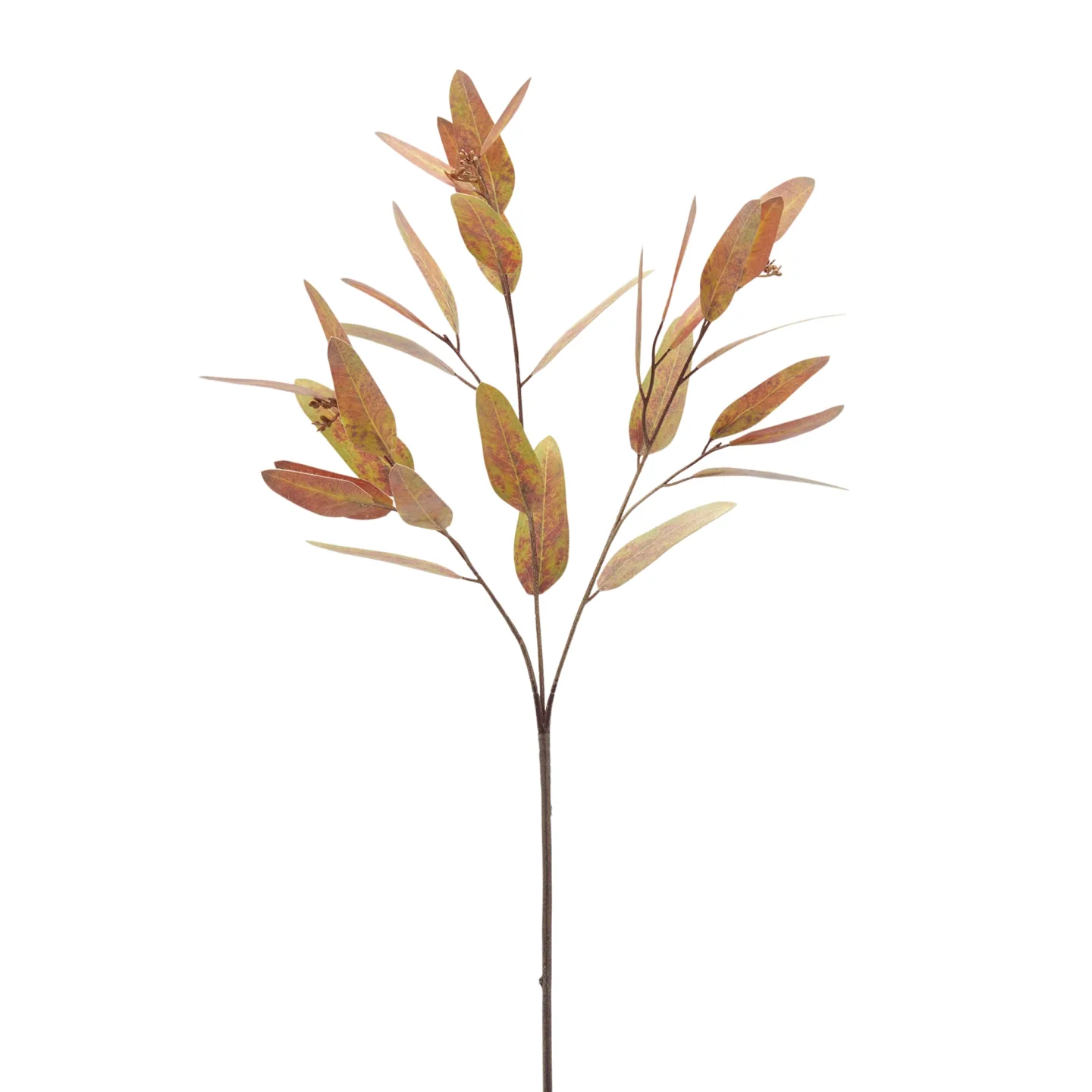 Edg Kunstblumen Eukalyptus Grün,braun | Schubiger Möbel