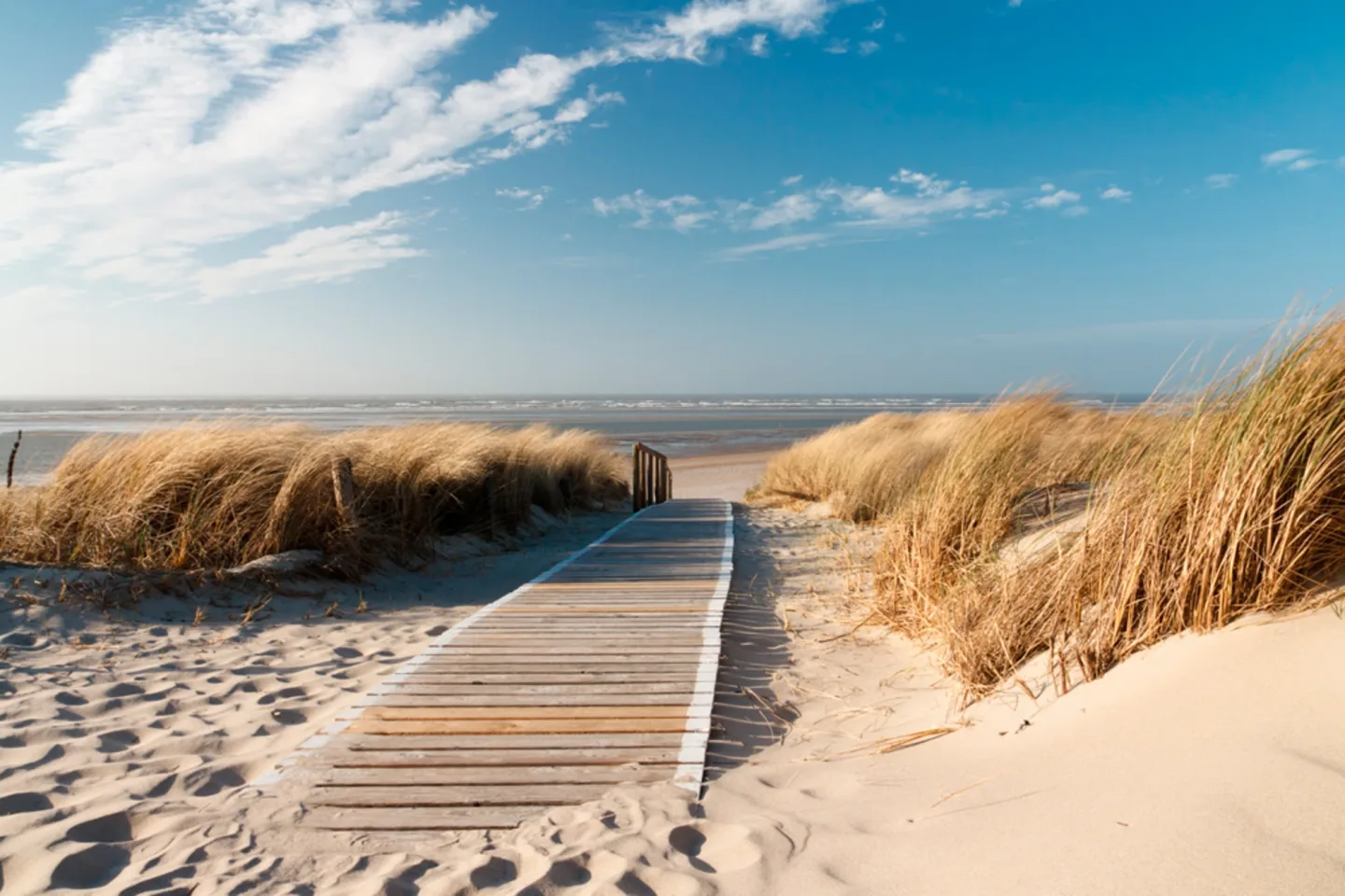 image LAND Bild mit Rahmen Holzweg Zum Meer 1 | Schubiger Möbel