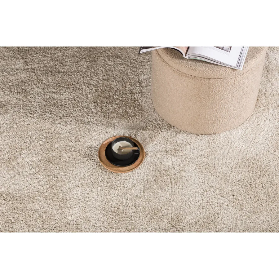 Teppich Wandir Beige 70% Polypropylen / 30% Jute 230 x 160 cm