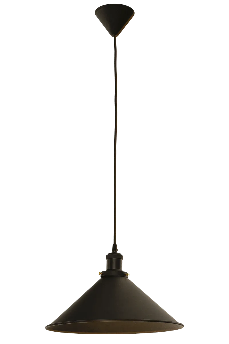 Aneta Lighting - Paris Ø35 - Taklampa - Svart
