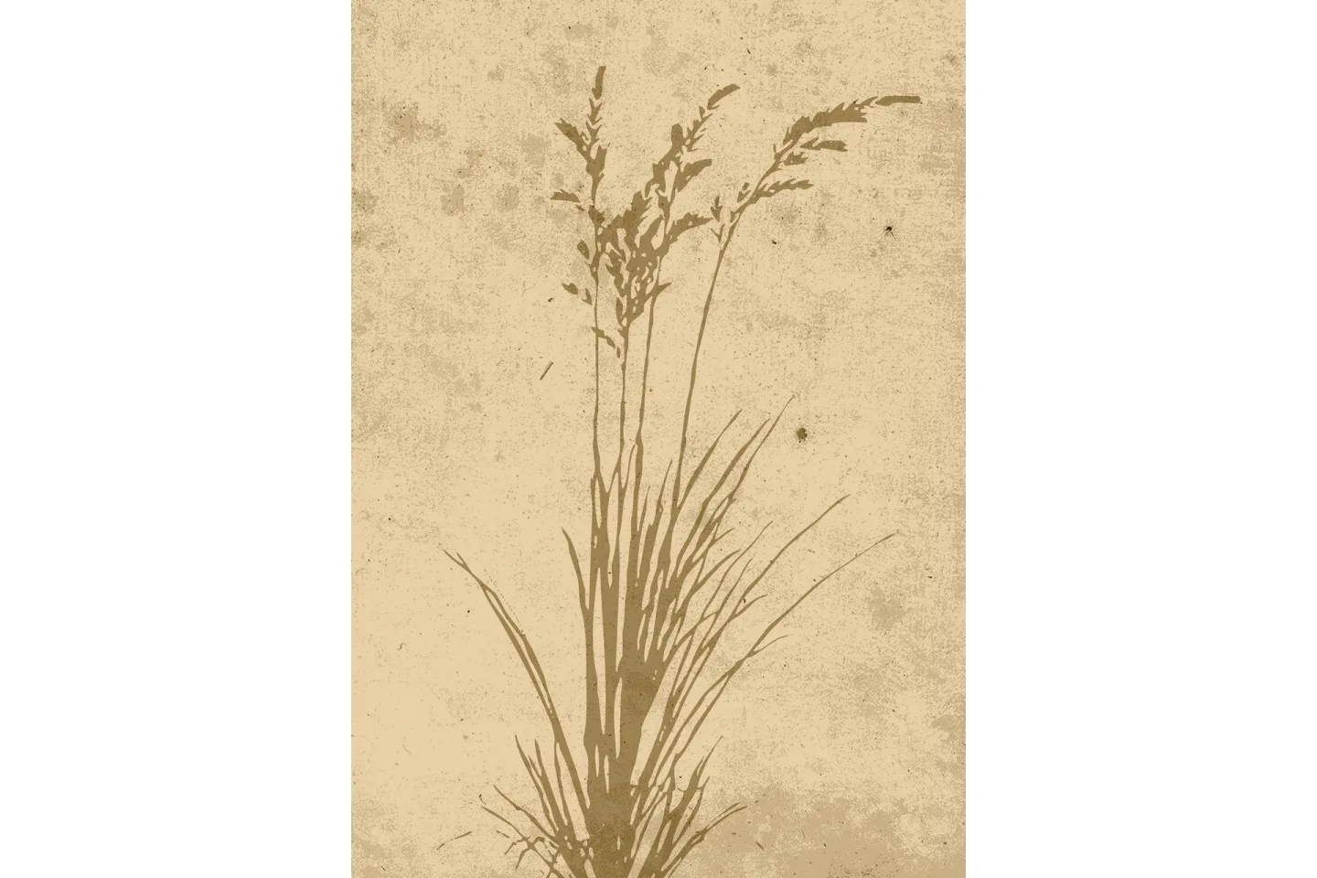 Poster Plant art 70x100 cm - Beige
