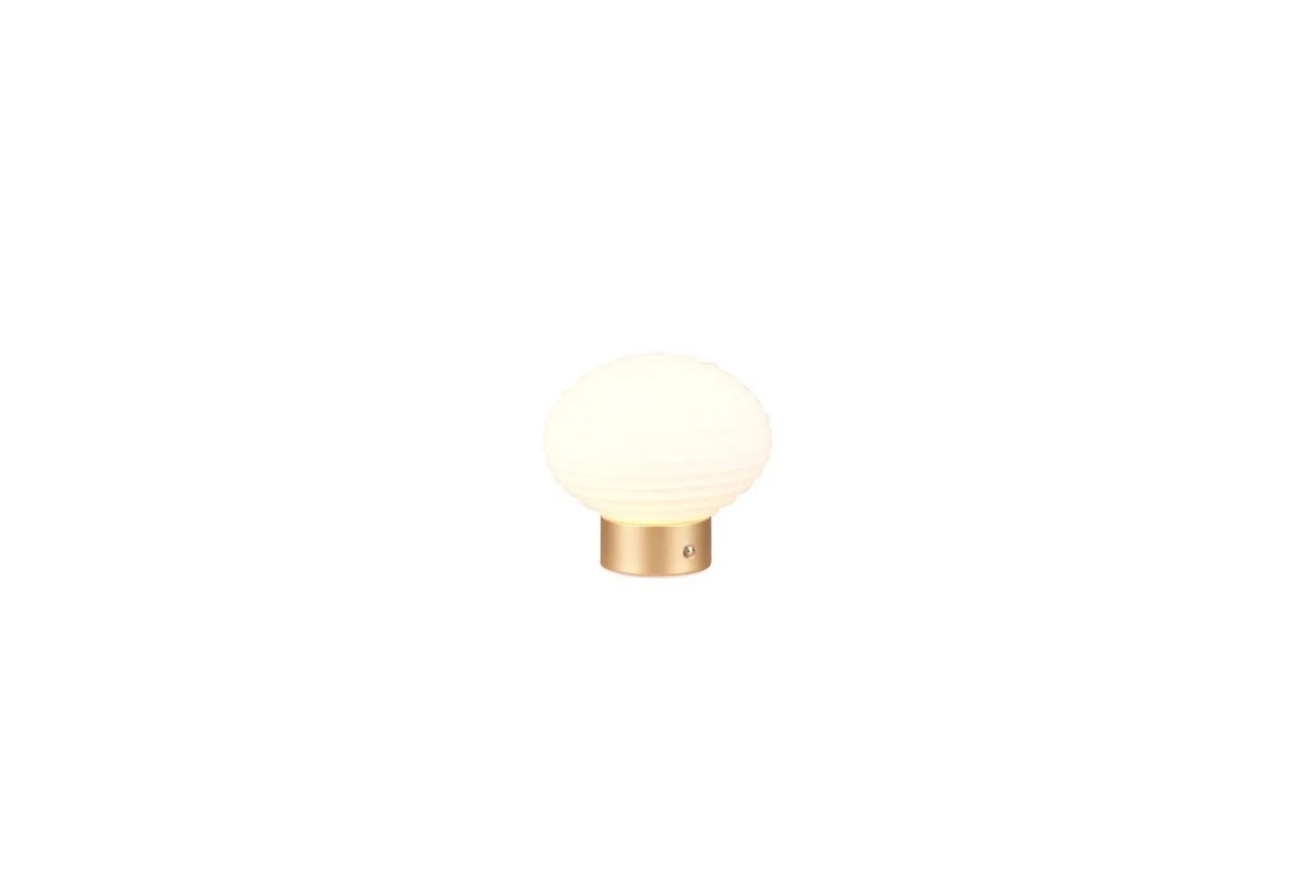 Bordslampa TRIO Earl Mattmässing/vit - Mattmässing/vit