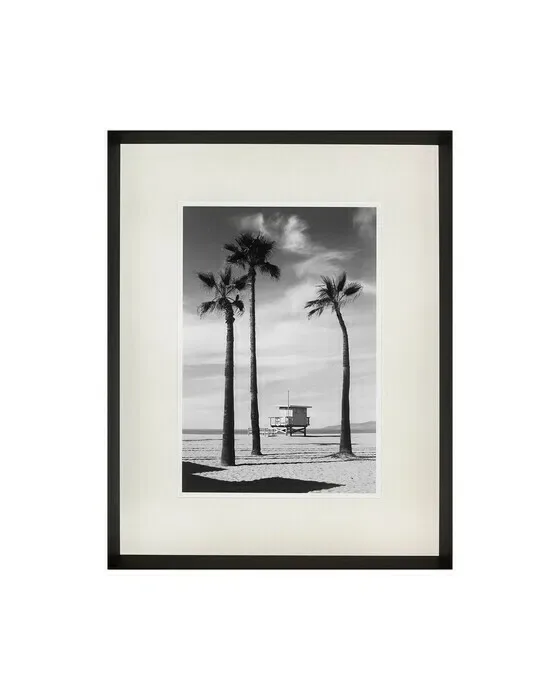 Palmtrees