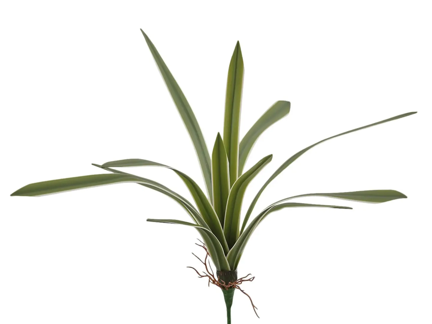Edg Kunstblume Chlorophytum Weiss-Grün H: 51 cm | Schubiger Möbel